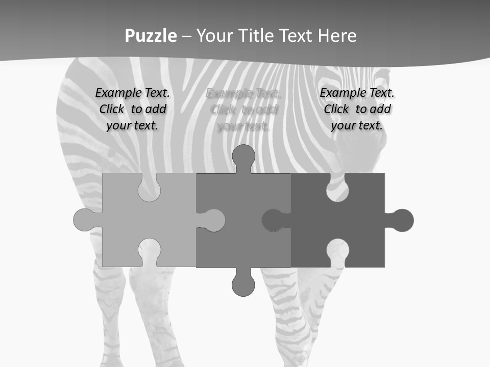 Beauty Zebra Mammal PowerPoint Template