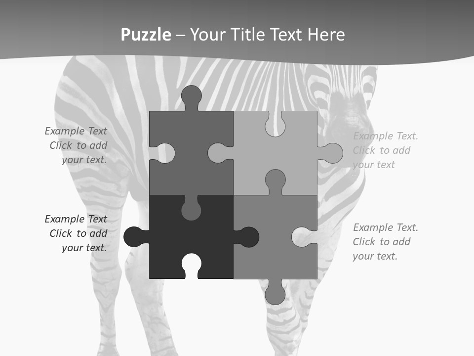 Beauty Zebra Mammal PowerPoint Template