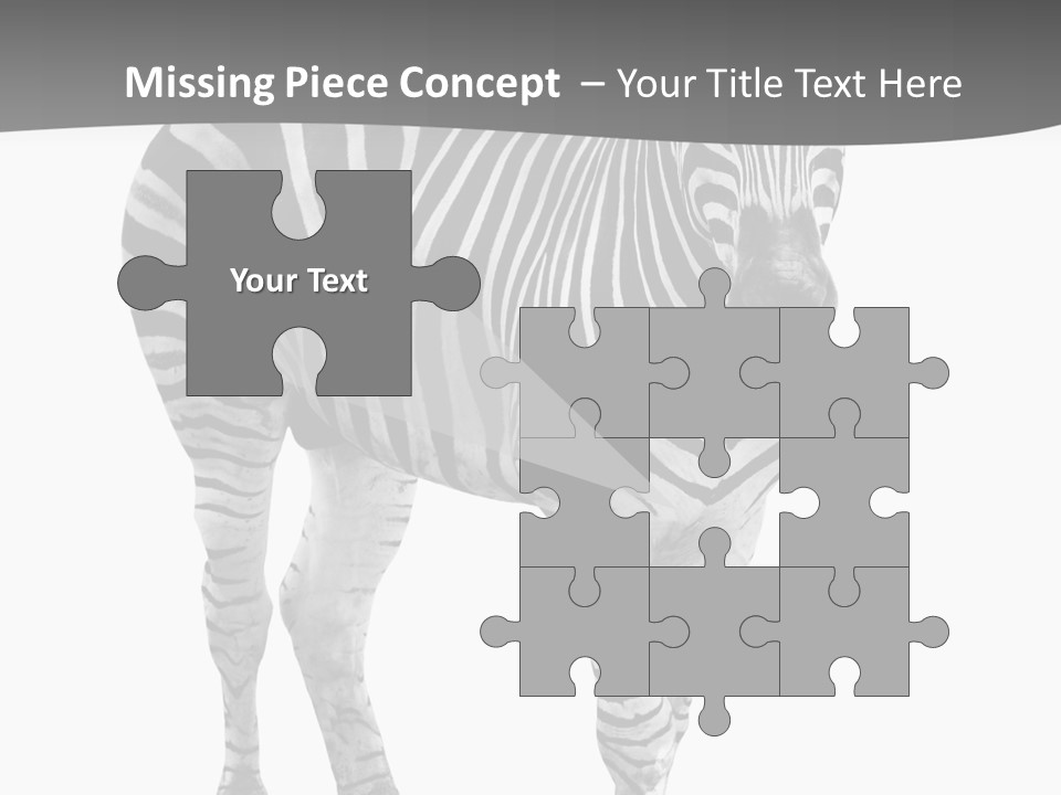 Beauty Zebra Mammal PowerPoint Template