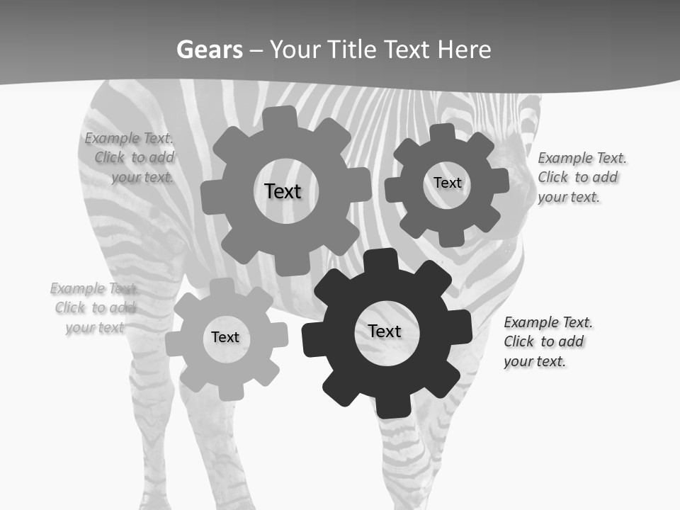 Beauty Zebra Mammal PowerPoint Template