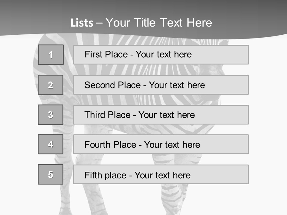Beauty Zebra Mammal PowerPoint Template