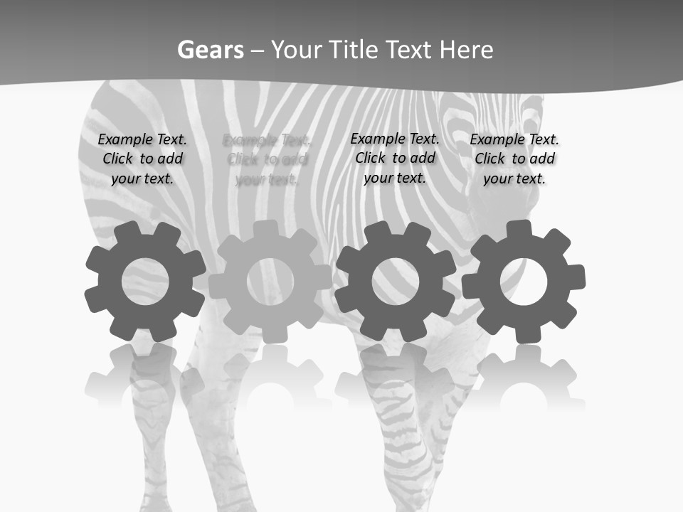 Beauty Zebra Mammal PowerPoint Template