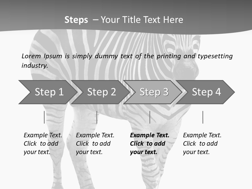 Beauty Zebra Mammal PowerPoint Template