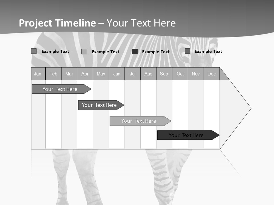 Beauty Zebra Mammal PowerPoint Template