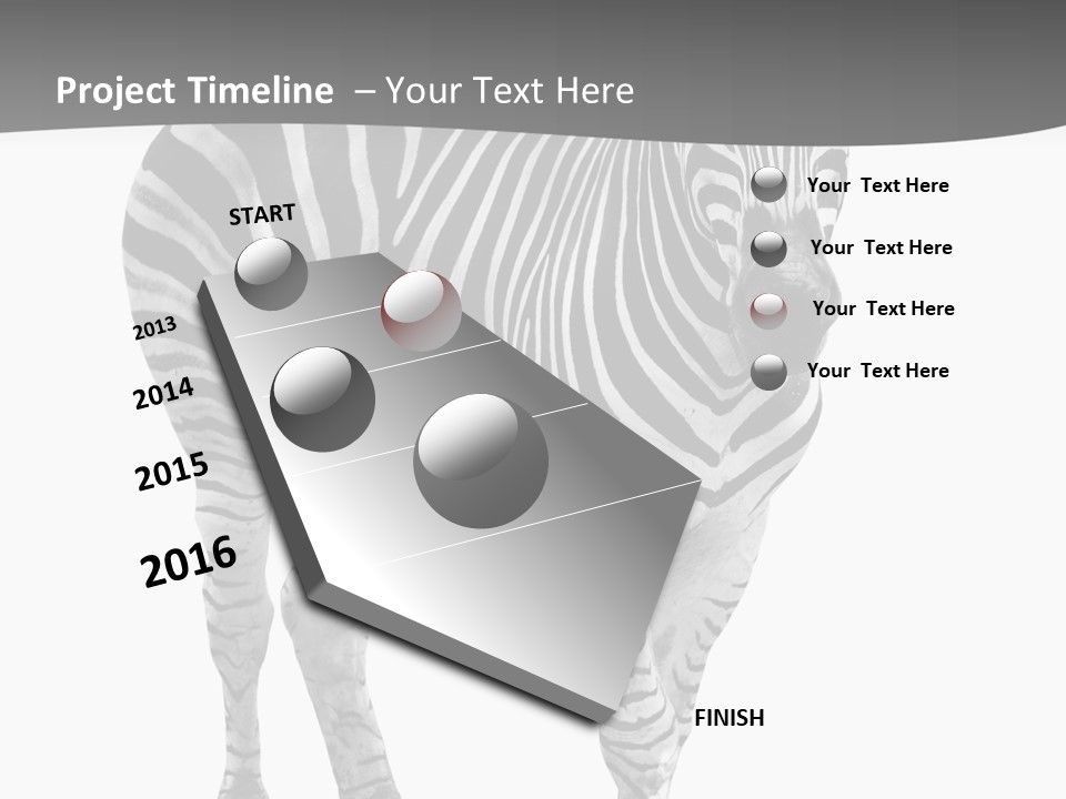 Beauty Zebra Mammal PowerPoint Template