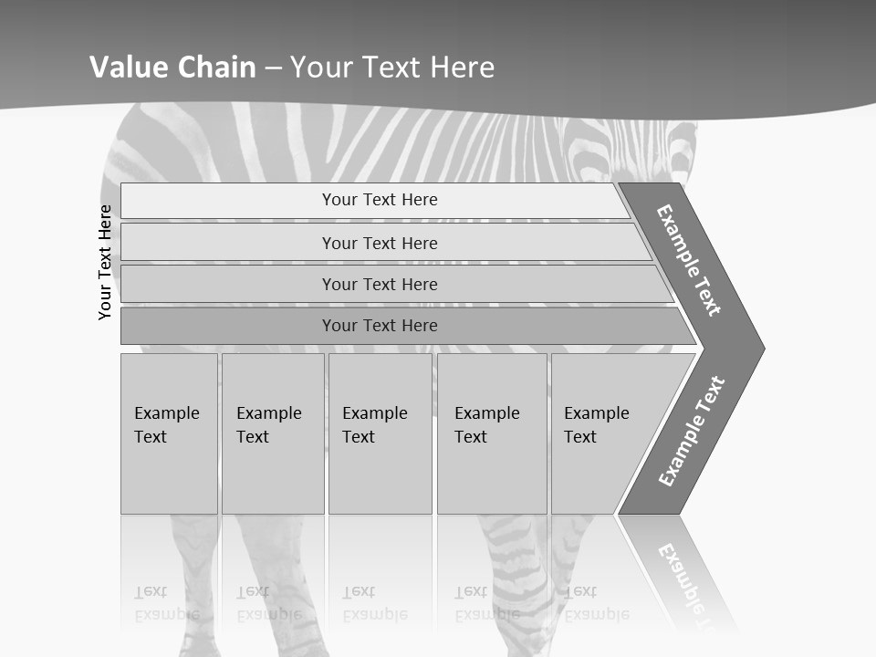 Beauty Zebra Mammal PowerPoint Template