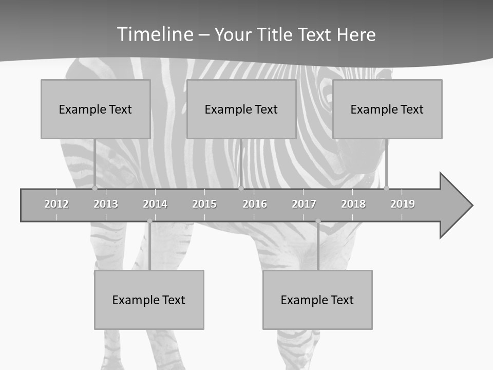 Beauty Zebra Mammal PowerPoint Template