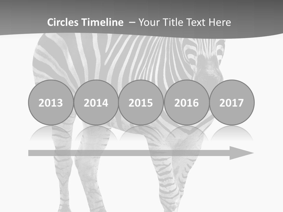 Beauty Zebra Mammal PowerPoint Template