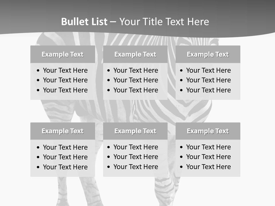 Beauty Zebra Mammal PowerPoint Template