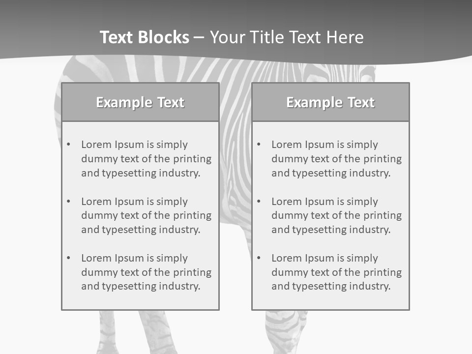 Beauty Zebra Mammal PowerPoint Template