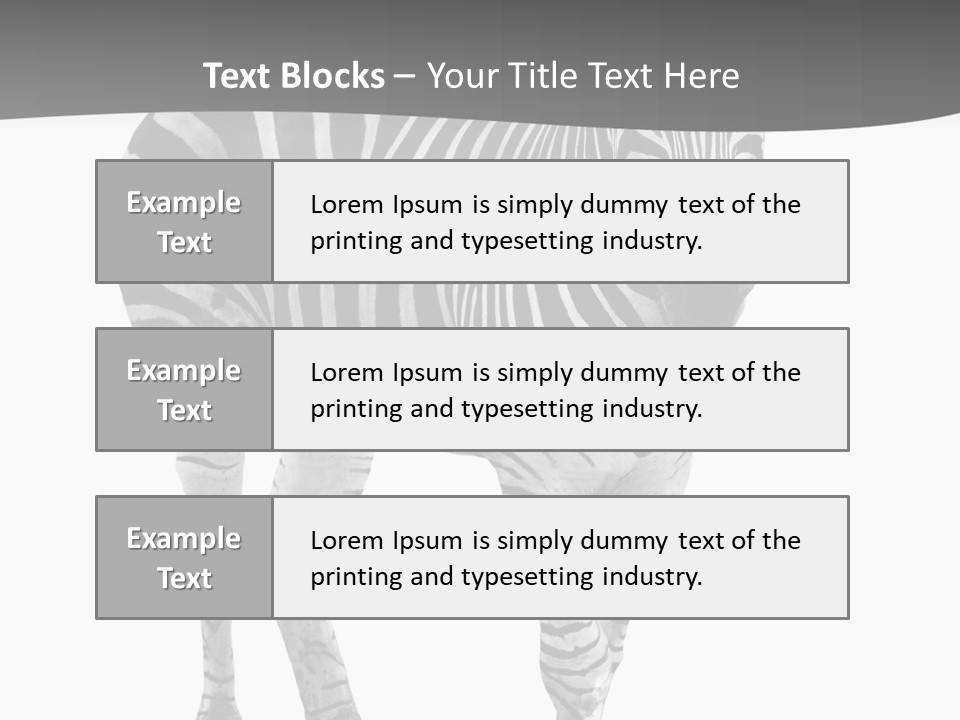 Beauty Zebra Mammal PowerPoint Template