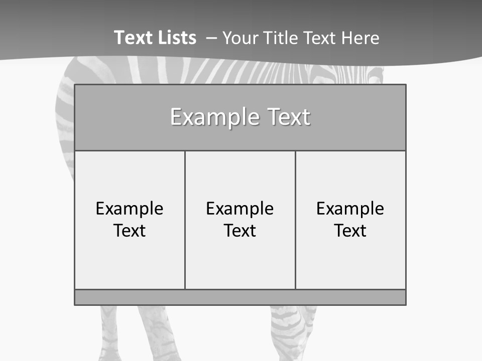 Beauty Zebra Mammal PowerPoint Template