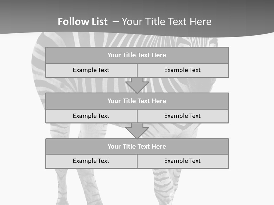 Beauty Zebra Mammal PowerPoint Template