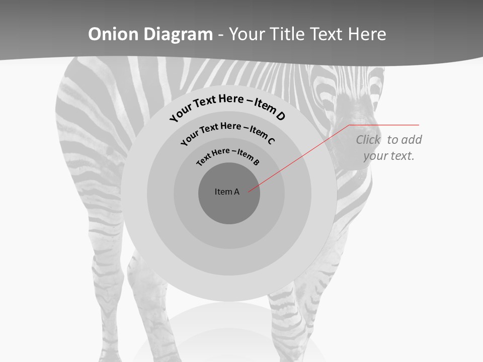 Beauty Zebra Mammal PowerPoint Template
