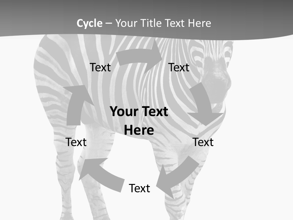 Beauty Zebra Mammal PowerPoint Template