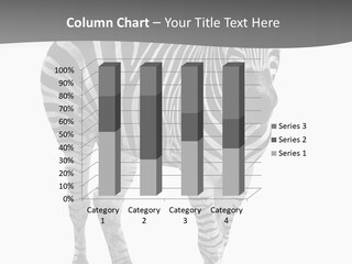 Beauty Zebra Mammal PowerPoint Template