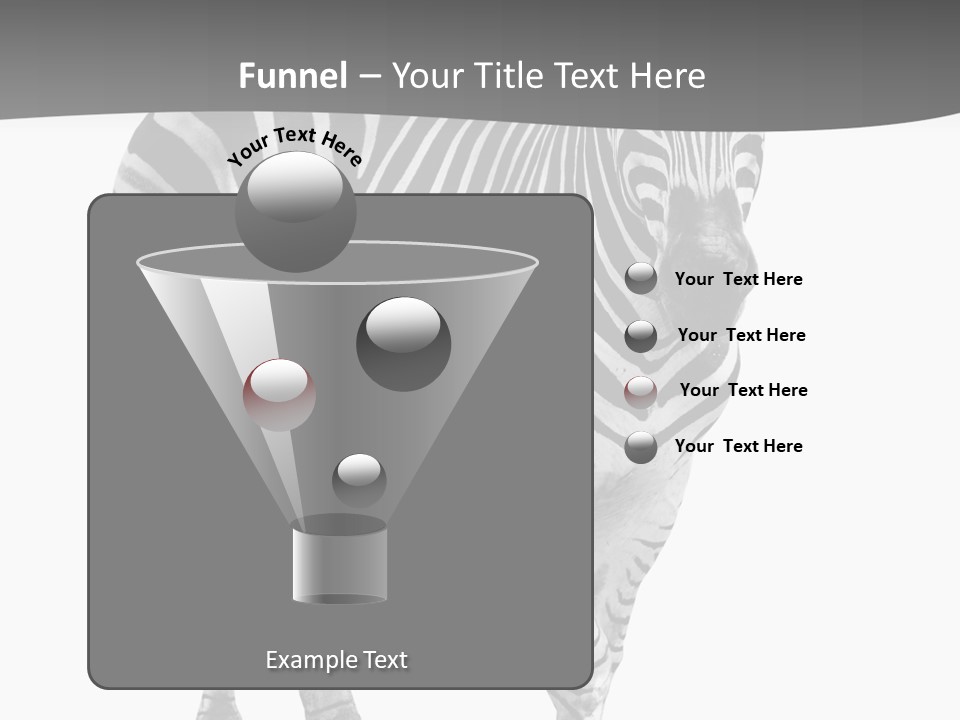 Beauty Zebra Mammal PowerPoint Template