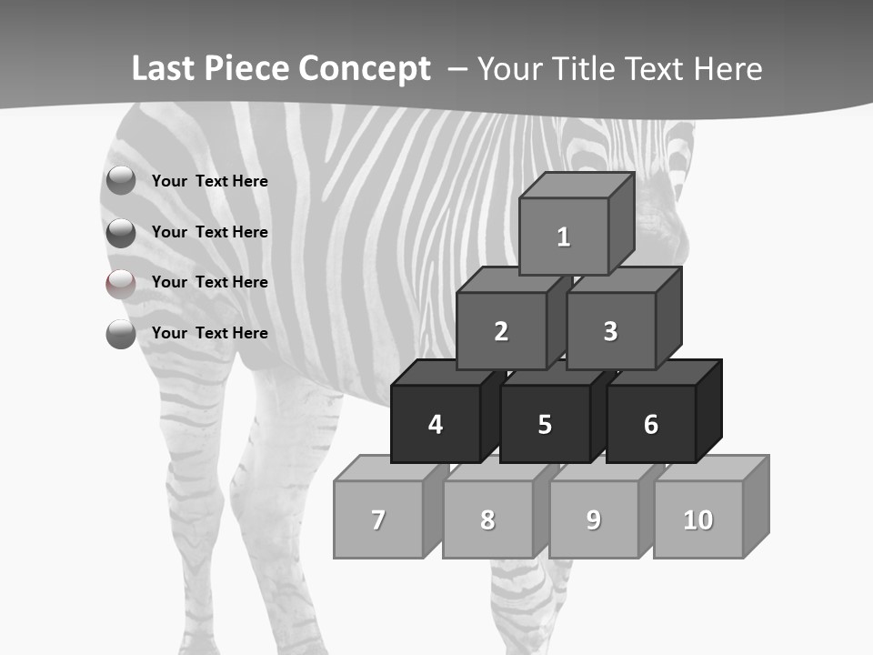Beauty Zebra Mammal PowerPoint Template