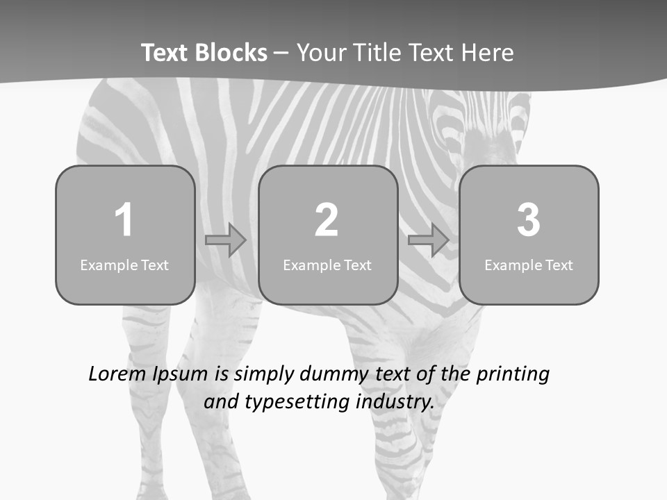 Beauty Zebra Mammal PowerPoint Template