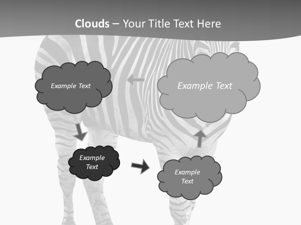 Beauty Zebra Mammal PowerPoint Template