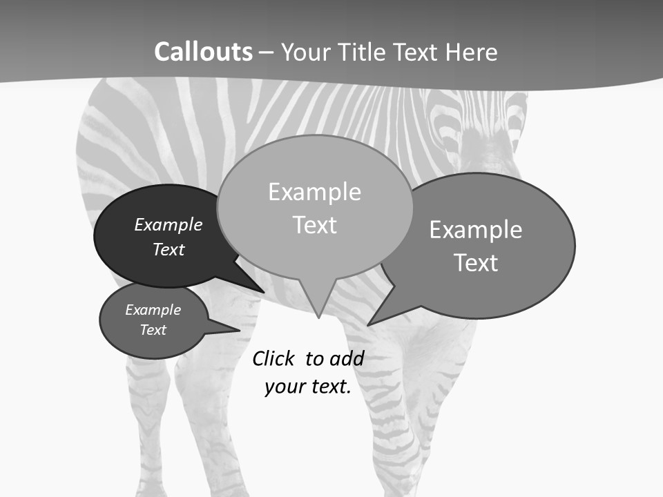 Beauty Zebra Mammal PowerPoint Template