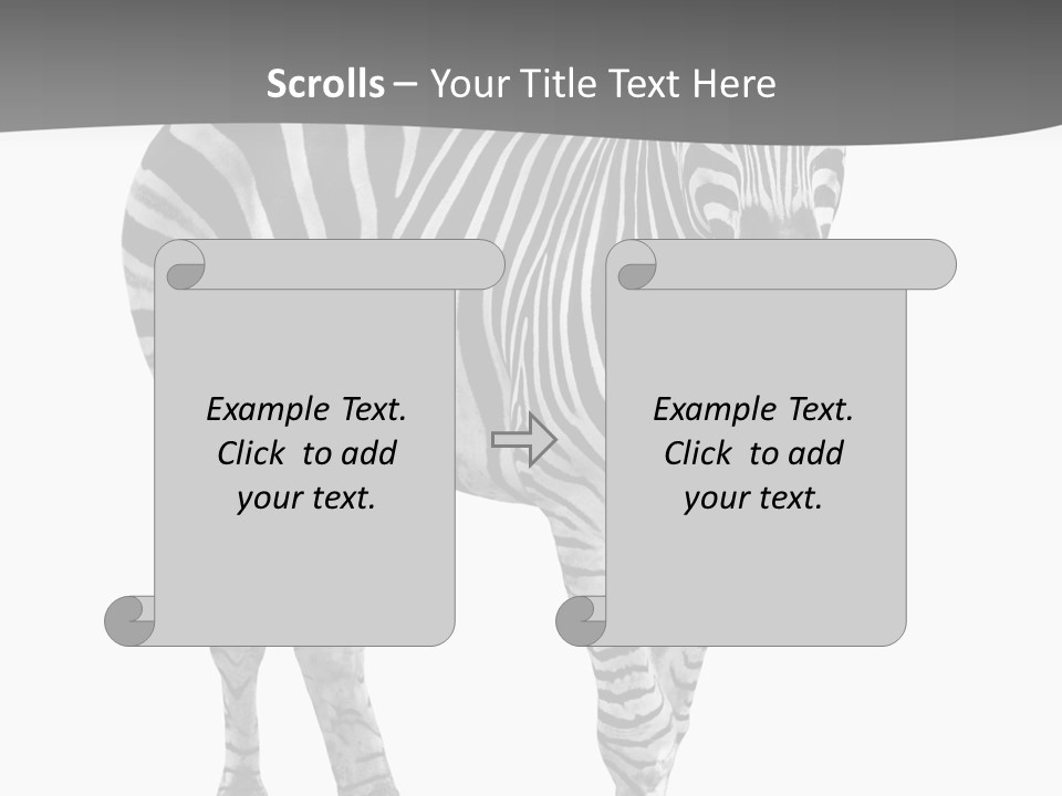 Beauty Zebra Mammal PowerPoint Template