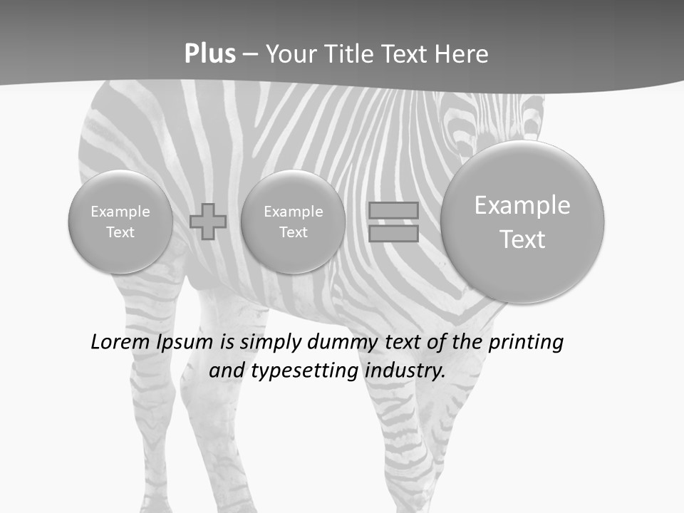 Beauty Zebra Mammal PowerPoint Template