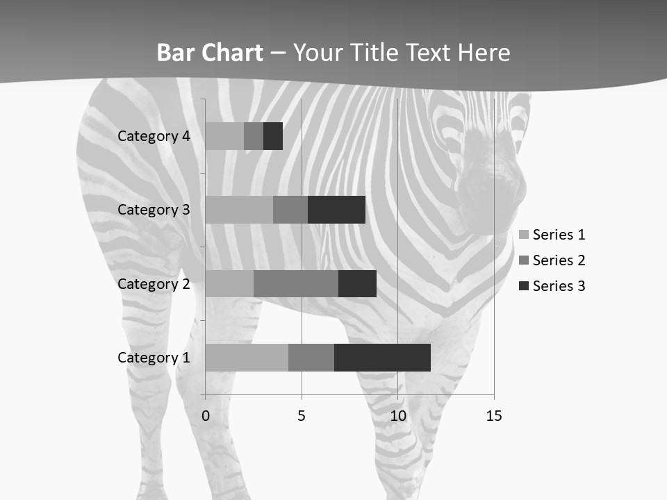 Beauty Zebra Mammal PowerPoint Template
