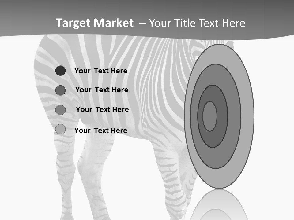 Beauty Zebra Mammal PowerPoint Template