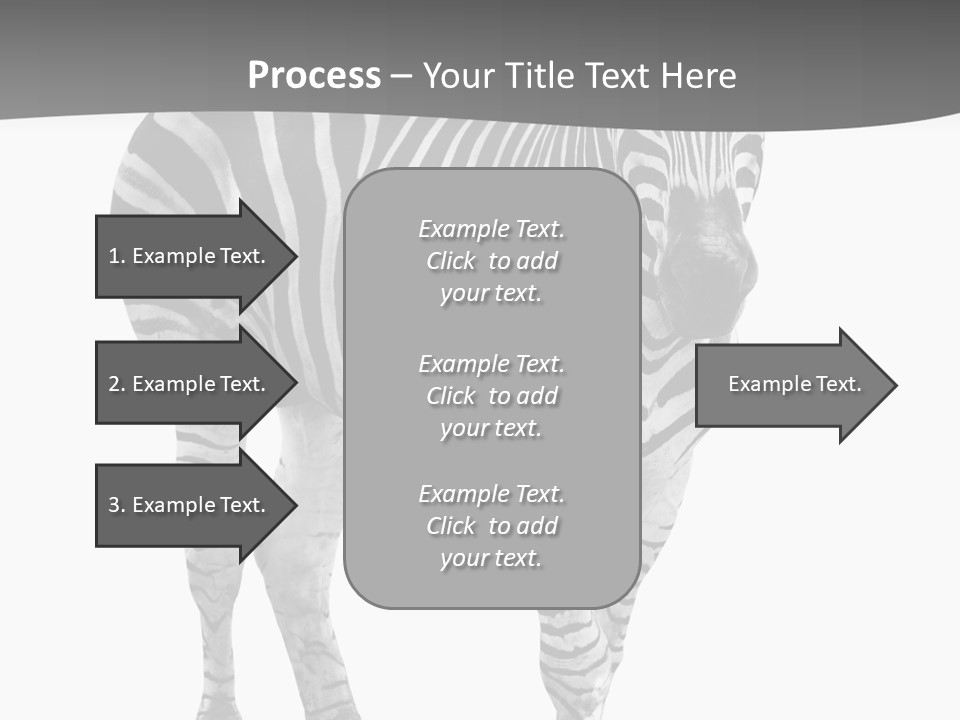 Beauty Zebra Mammal PowerPoint Template
