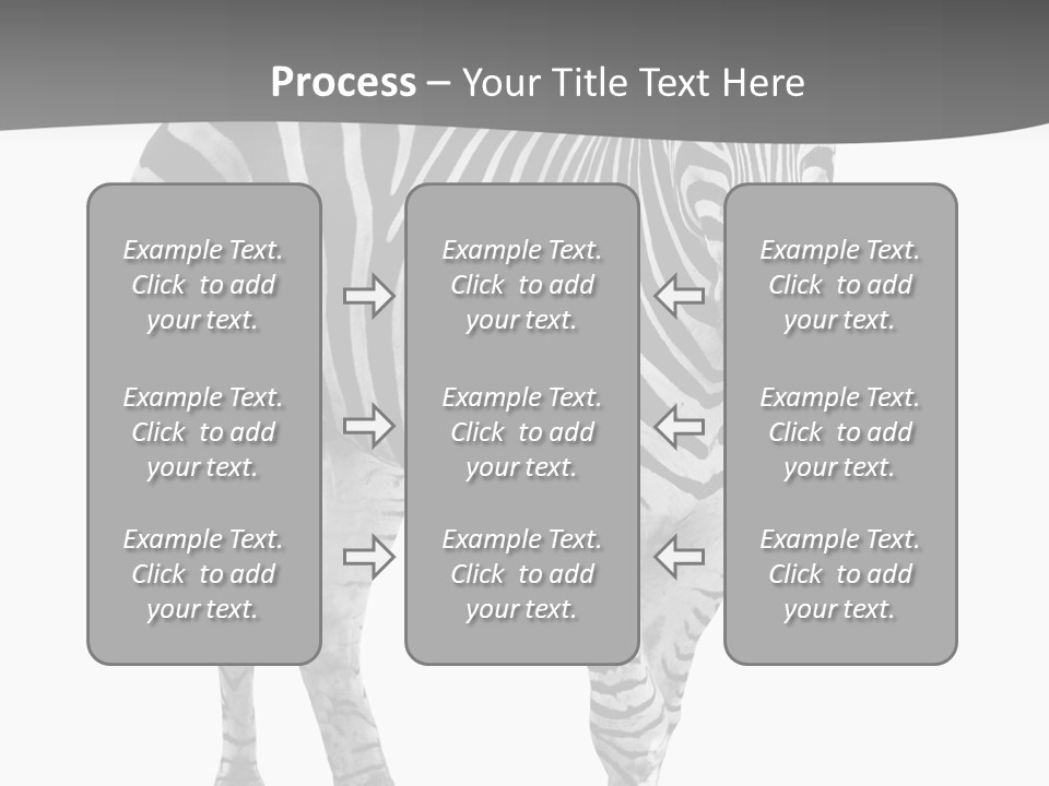Beauty Zebra Mammal PowerPoint Template