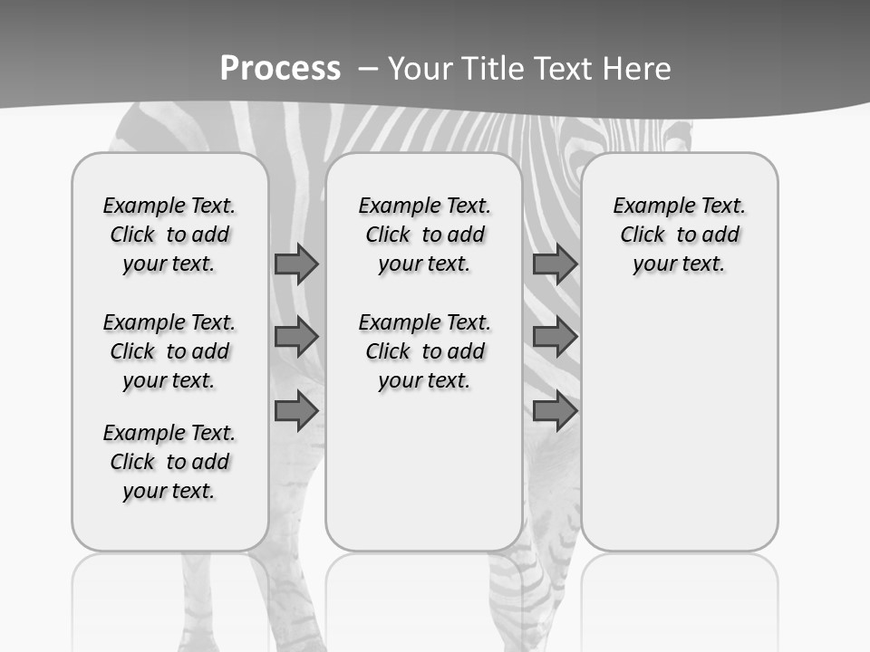 Beauty Zebra Mammal PowerPoint Template