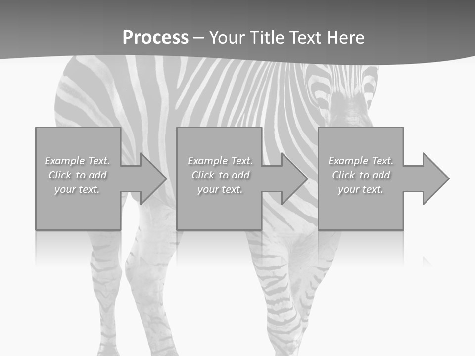 Beauty Zebra Mammal PowerPoint Template