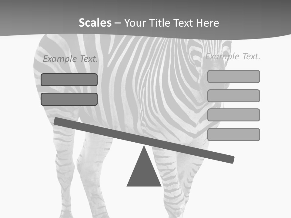 Beauty Zebra Mammal PowerPoint Template