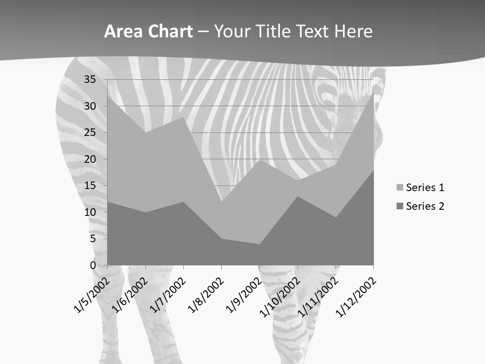 Beauty Zebra Mammal PowerPoint Template