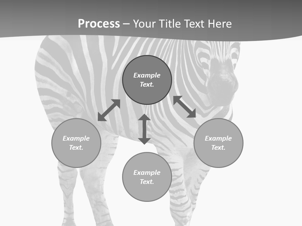 Beauty Zebra Mammal PowerPoint Template