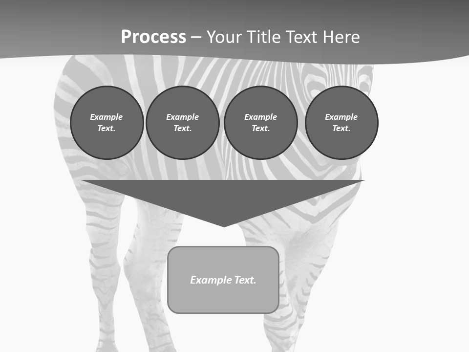 Beauty Zebra Mammal PowerPoint Template