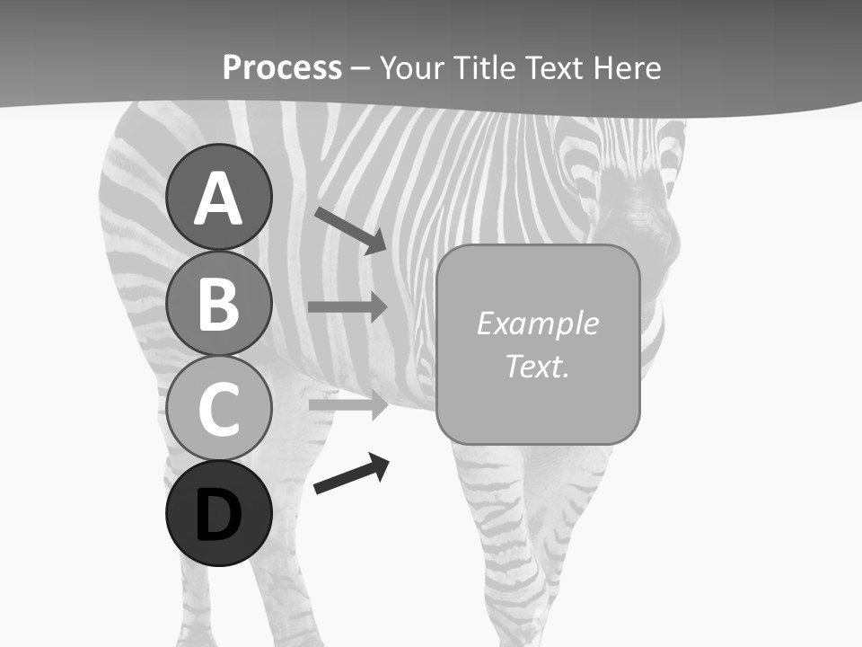 Beauty Zebra Mammal PowerPoint Template