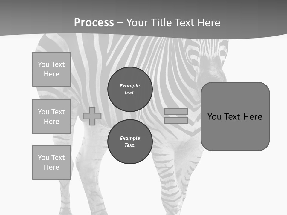 Beauty Zebra Mammal PowerPoint Template