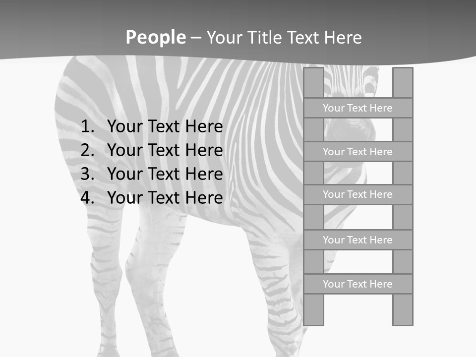 Beauty Zebra Mammal PowerPoint Template