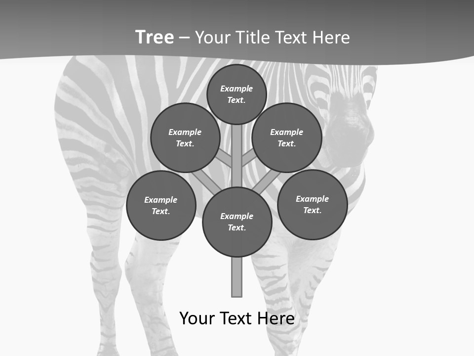 Beauty Zebra Mammal PowerPoint Template