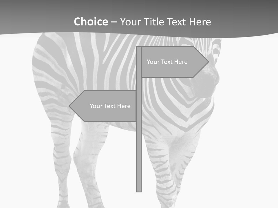 Beauty Zebra Mammal PowerPoint Template