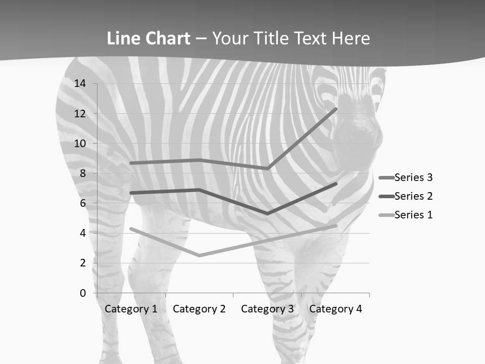 Beauty Zebra Mammal PowerPoint Template