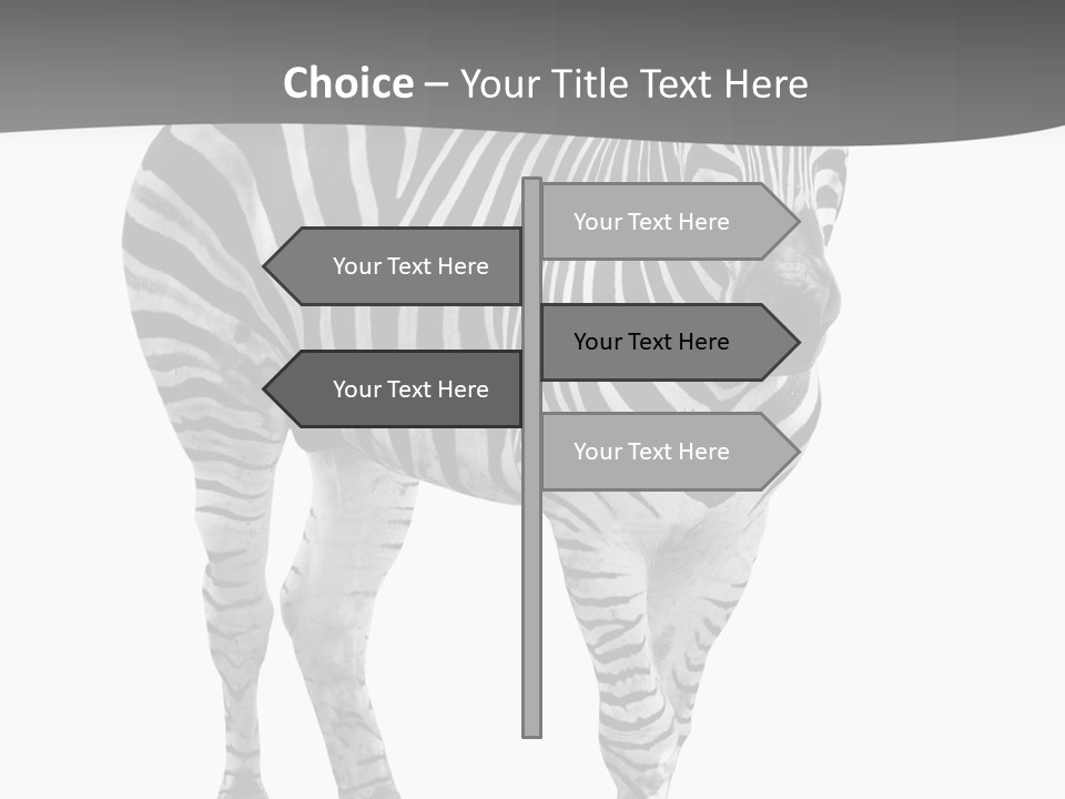 Beauty Zebra Mammal PowerPoint Template