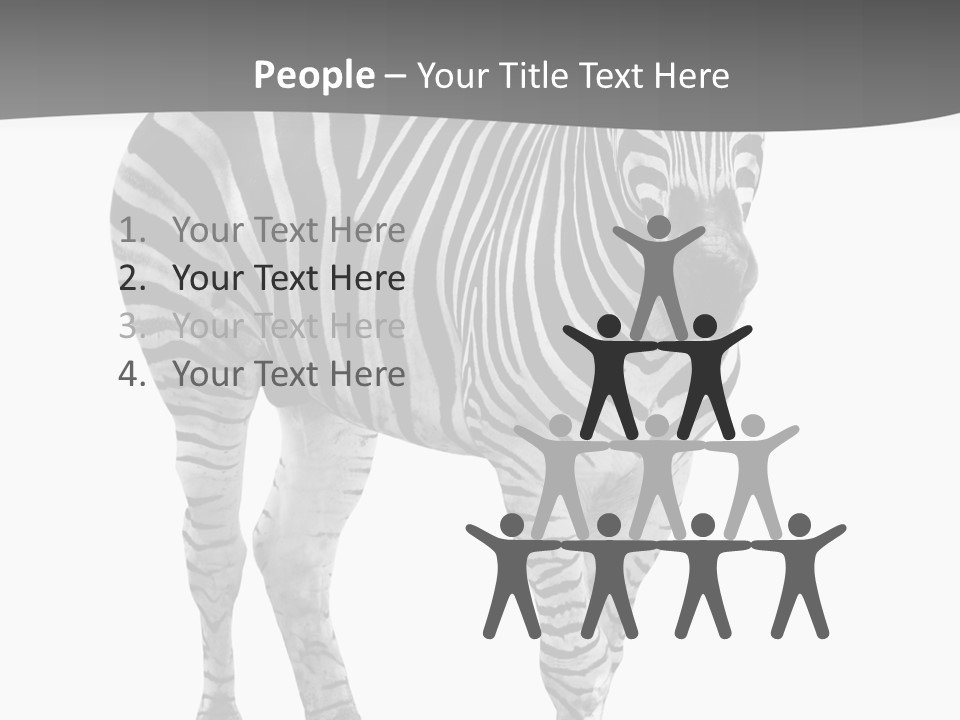 Beauty Zebra Mammal PowerPoint Template