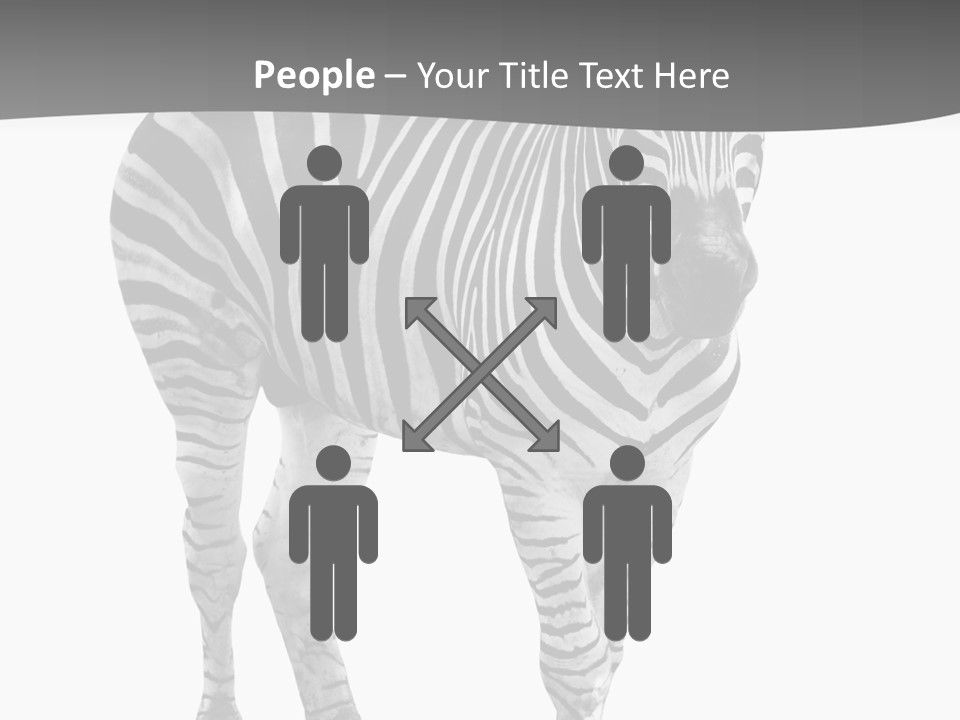 Beauty Zebra Mammal PowerPoint Template