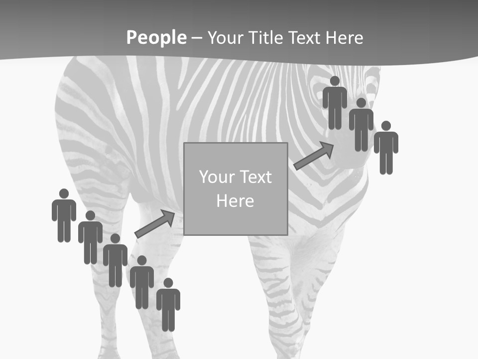 Beauty Zebra Mammal PowerPoint Template
