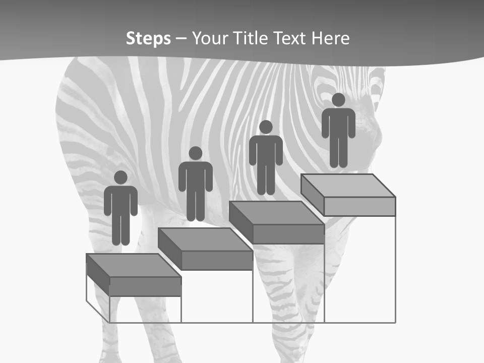 Beauty Zebra Mammal PowerPoint Template