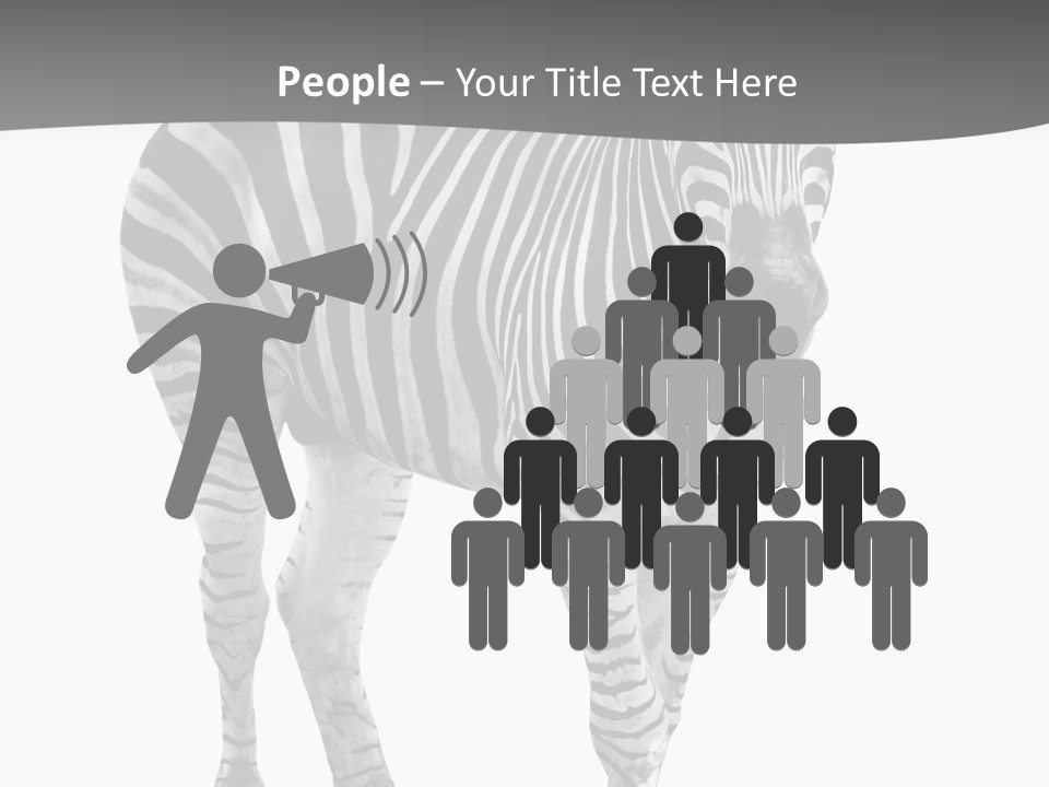 Beauty Zebra Mammal PowerPoint Template