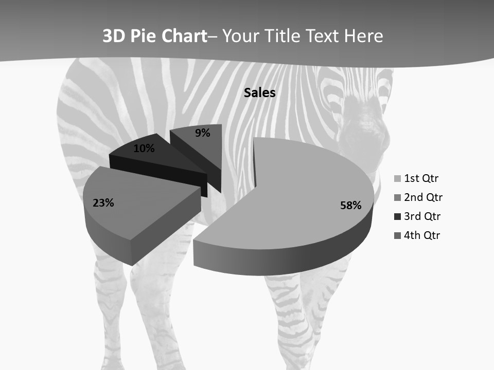 Beauty Zebra Mammal PowerPoint Template